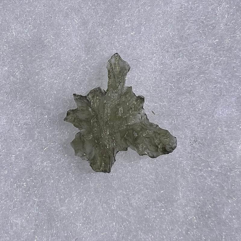 Besednice Moldavite 0.99 grams #497-Moldavite Life