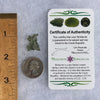 Besednice Moldavite 1.08 grams #523-Moldavite Life