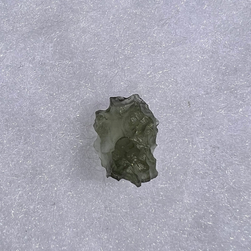 Besednice Moldavite 1.09 grams #405-Moldavite Life