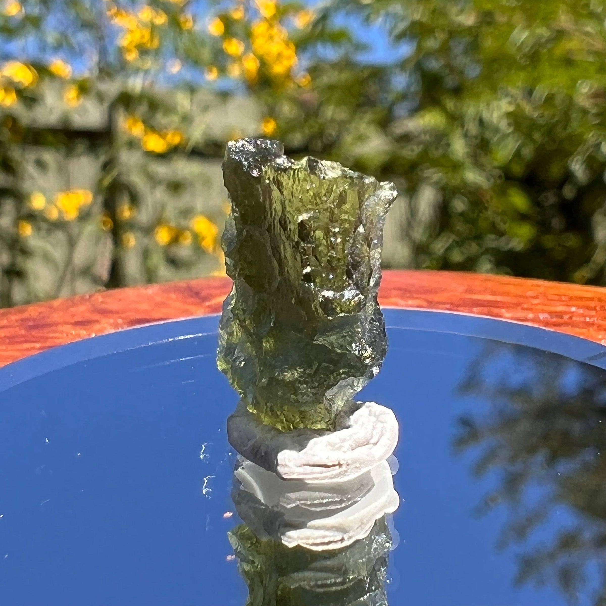 Besednice Moldavite 1.1 grams #360-Moldavite Life