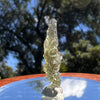 Besednice Moldavite 1.10 grams #470-Moldavite Life