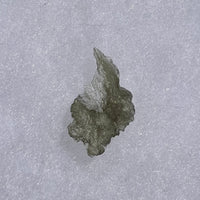 Besednice Moldavite 1.10 grams #470-Moldavite Life