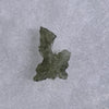 Besednice Moldavite 1.11 grams #498-Moldavite Life