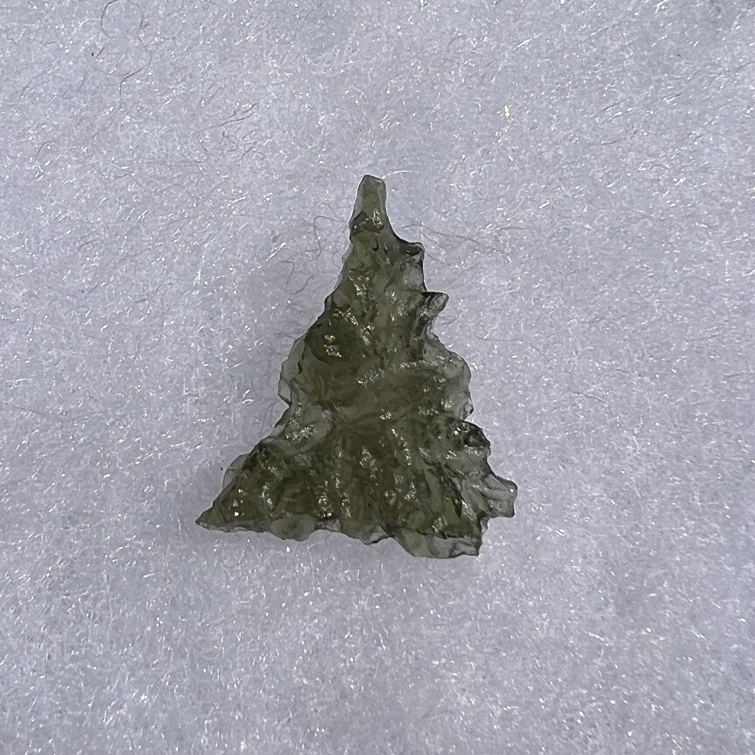 Besednice Moldavite 1.13 grams #485-Moldavite Life