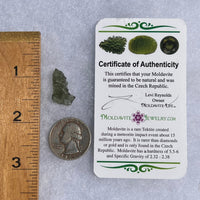 Besednice Moldavite 1.14 grams #411-Moldavite Life