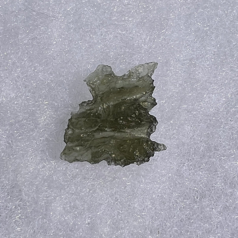 Besednice Moldavite 1.19 grams #518-Moldavite Life