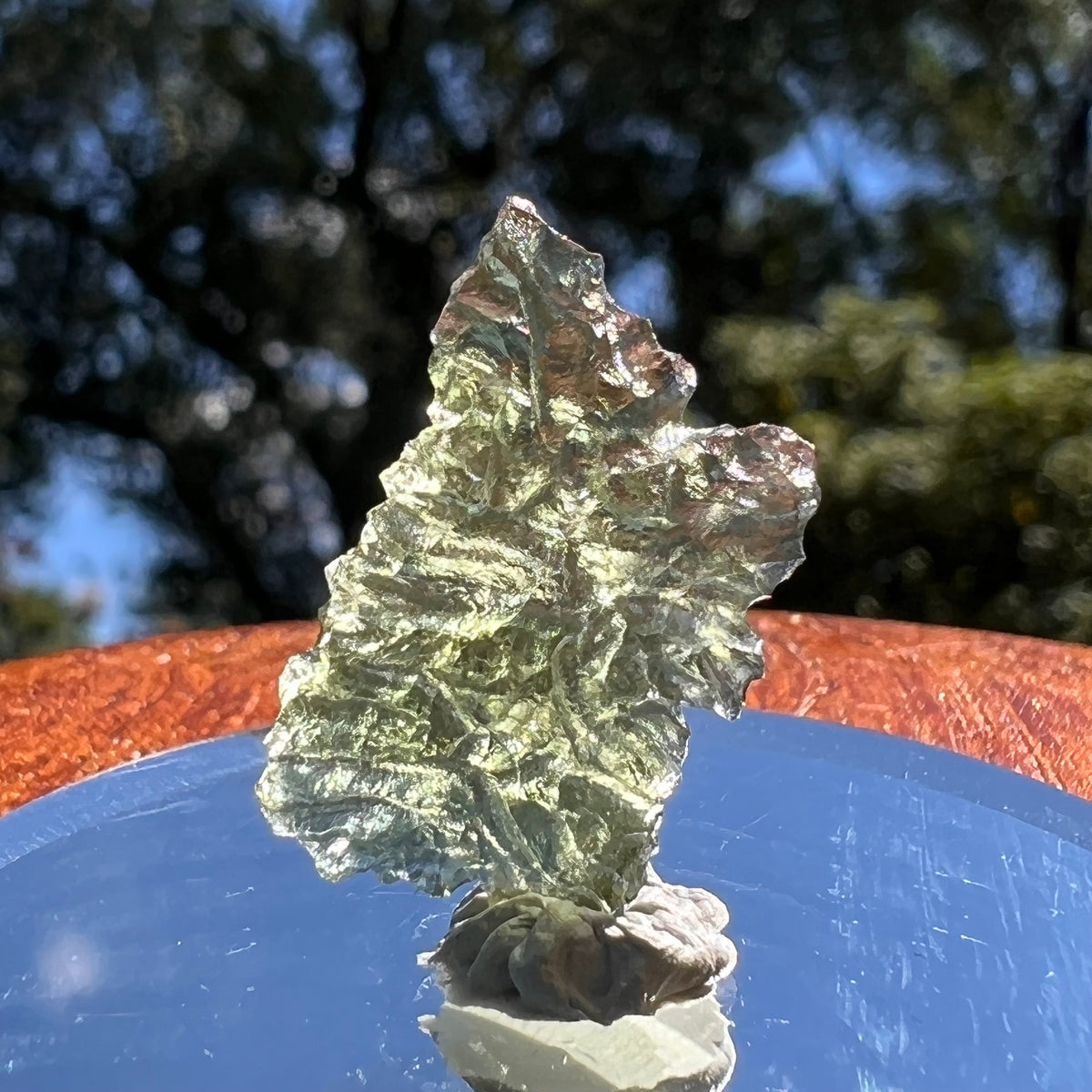 Besednice Moldavite 1.25 grams #486-Moldavite Life