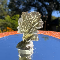 Besednice Moldavite 1.3 grams #369-Moldavite Life