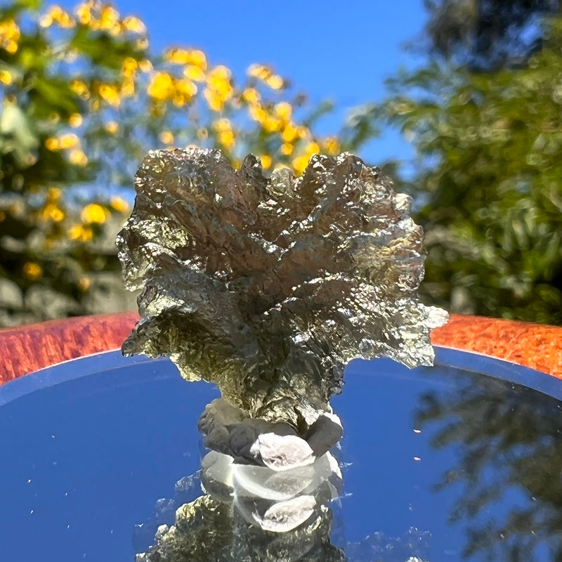 Besednice Moldavite 1.3 grams #369-Moldavite Life