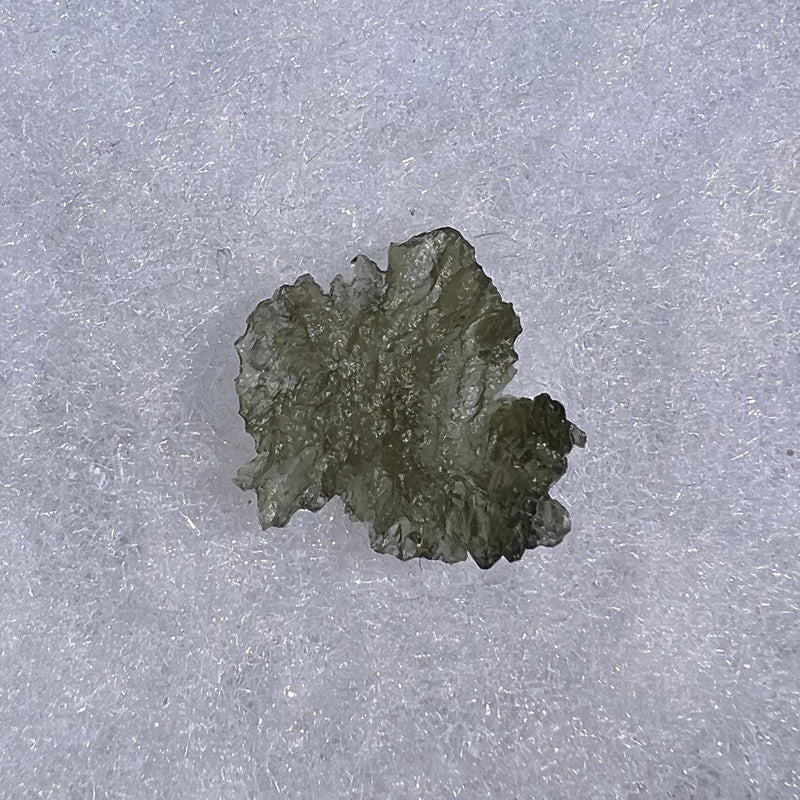 Besednice Moldavite 1.3 grams #369-Moldavite Life