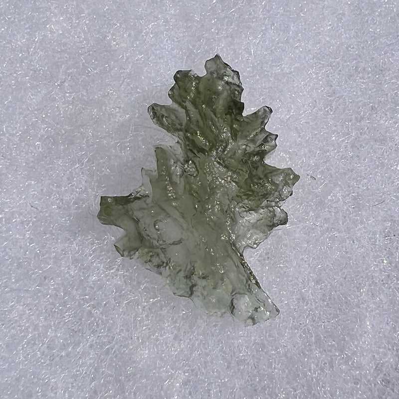 Besednice Moldavite 1.38 grams #508-Moldavite Life