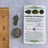 Besednice Moldavite 1.42 grams #388-Moldavite Life