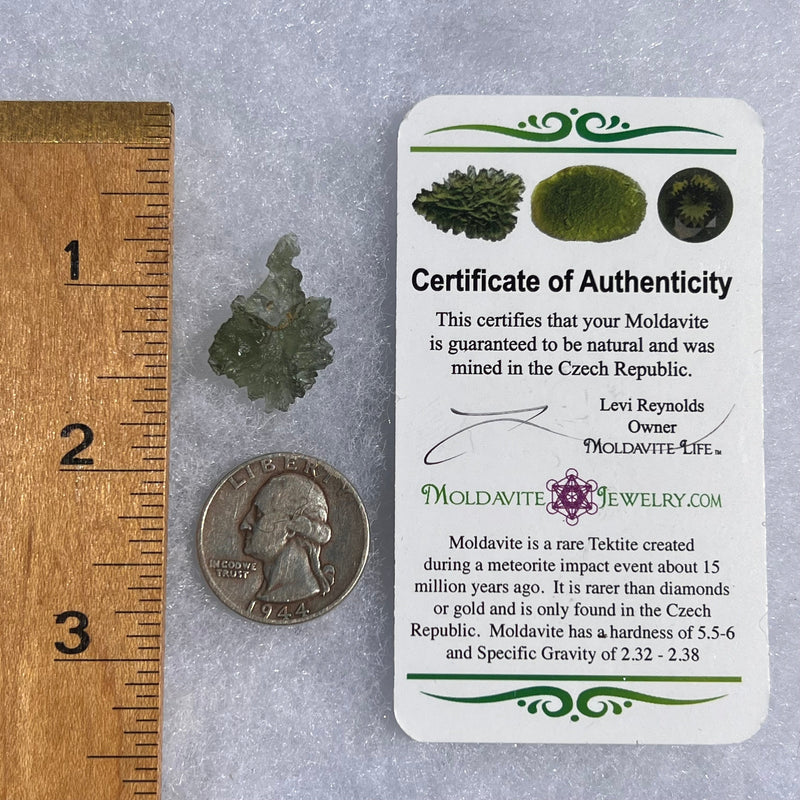 Besednice Moldavite 1.51 grams #489-Moldavite Life
