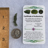 Besednice Moldavite 1.61 grams #421-Moldavite Life