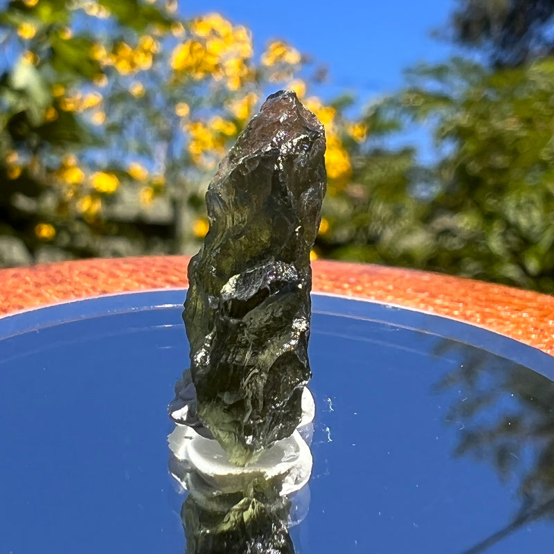 Besednice Moldavite 1.7 grams #366-Moldavite Life