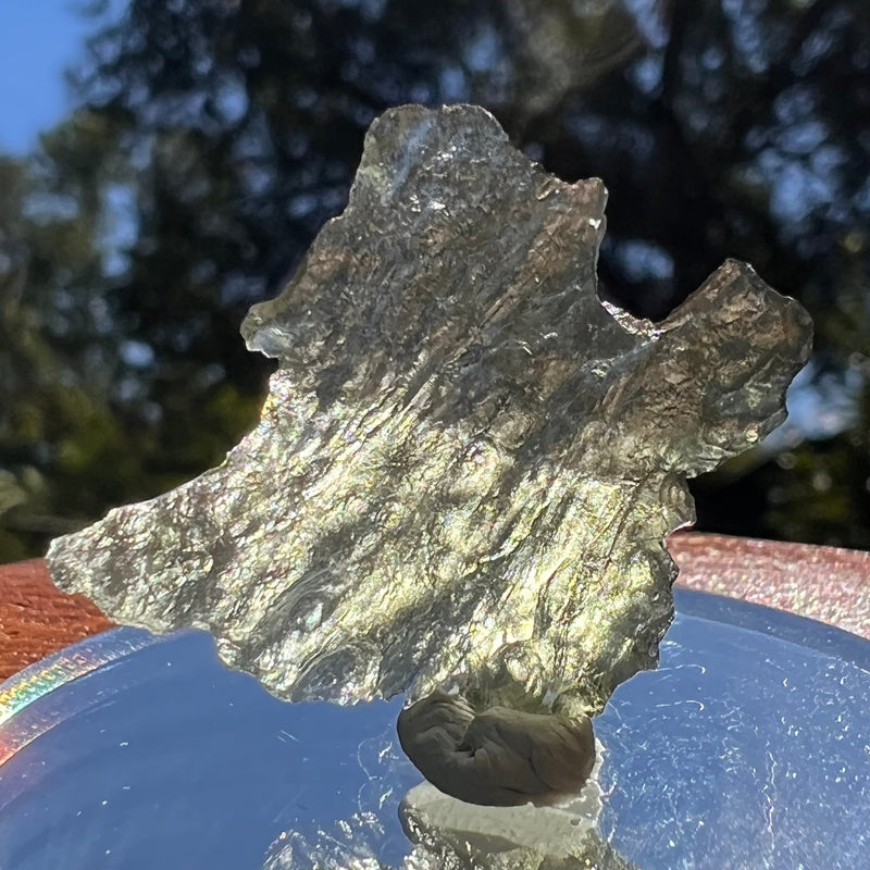 Besednice Moldavite 1.91 grams #415-Moldavite Life