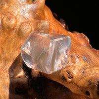 Brookite in Quartz Crystal #260-Moldavite Life
