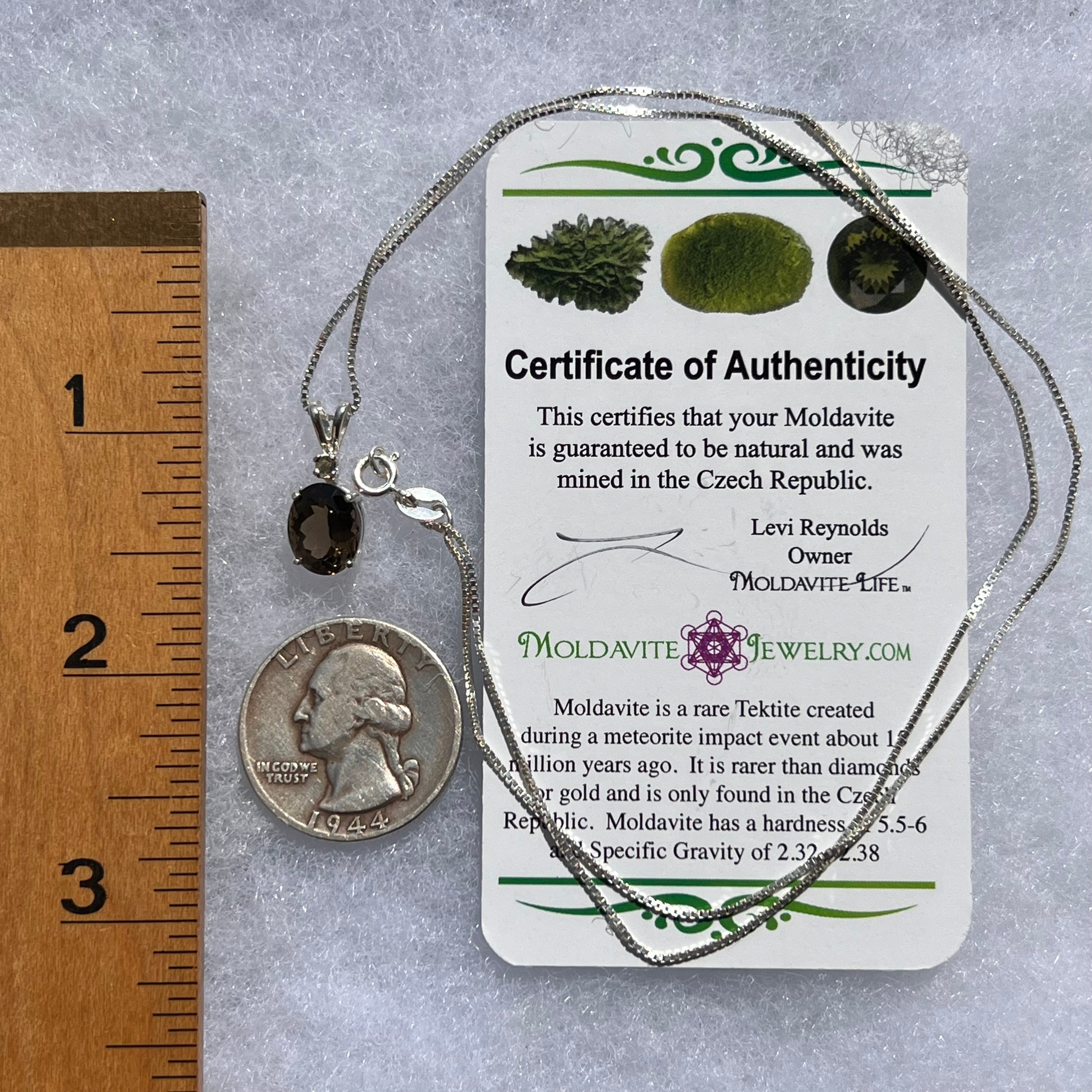 Brown Tourmaline Dravite Moldavite Necklace Sterling Moldavite Life
