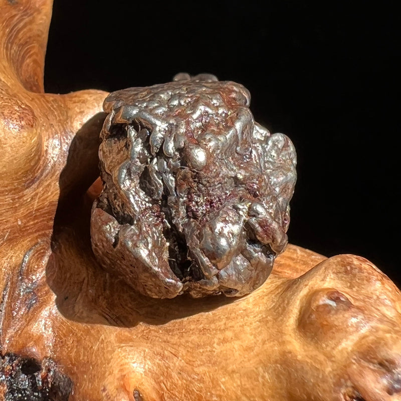 Campo Del Cielo Meteorite 21.1 grams #64-Moldavite Life