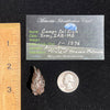 Campo Del Cielo Meteorite 21.1 grams #64-Moldavite Life