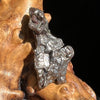 Campo Del Cielo Meteorite 21.2 grams #46-Moldavite Life