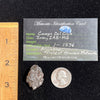 Campo Del Cielo Meteorite 21.3 grams #81-Moldavite Life