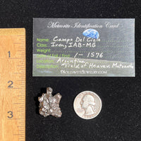 Campo Del Cielo Meteorite 21.5 grams #58-Moldavite Life