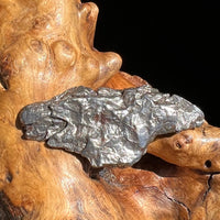 Campo Del Cielo Meteorite 22 grams #50-Moldavite Life