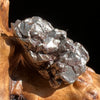 Campo Del Cielo Meteorite 22.3 grams #92-Moldavite Life