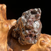 Campo Del Cielo Meteorite 22.3 grams #92-Moldavite Life