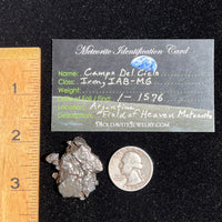 Campo Del Cielo Meteorite 22.7 grams #84-Moldavite Life