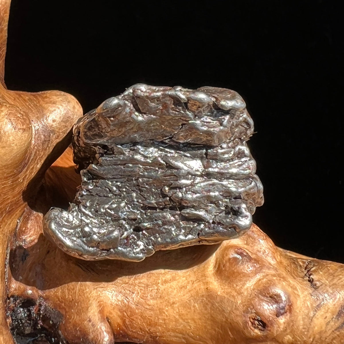 Campo Del Cielo Meteorite 23.7 grams #36-Moldavite Life