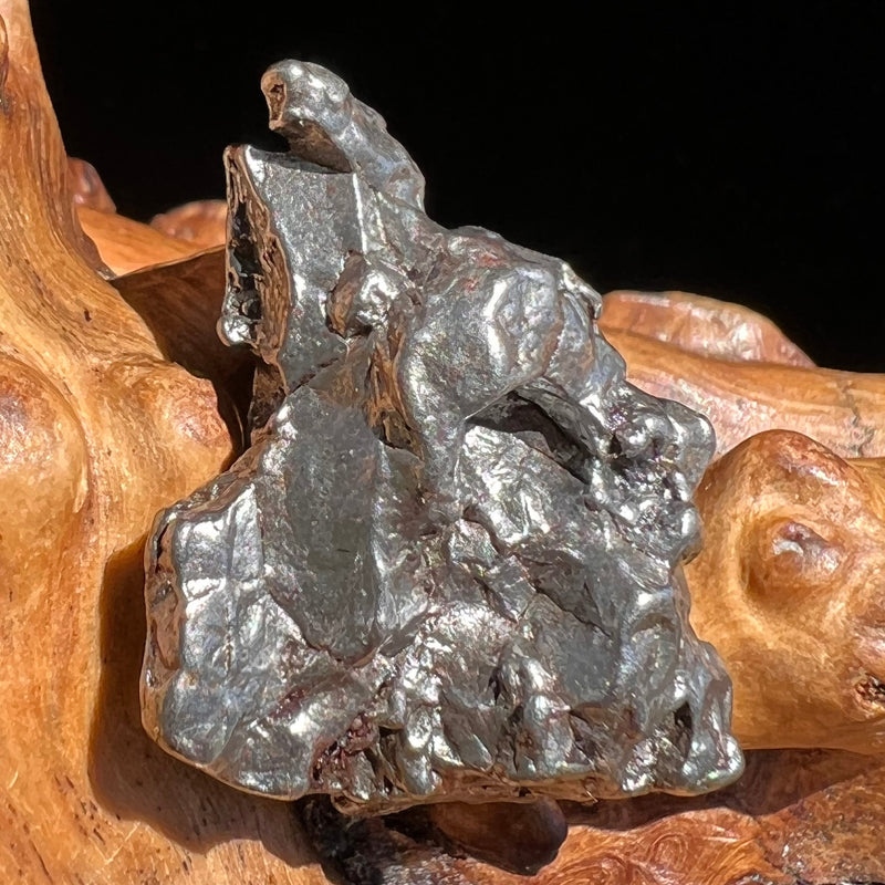 Campo Del Cielo Meteorite 24.1 grams #75-Moldavite Life