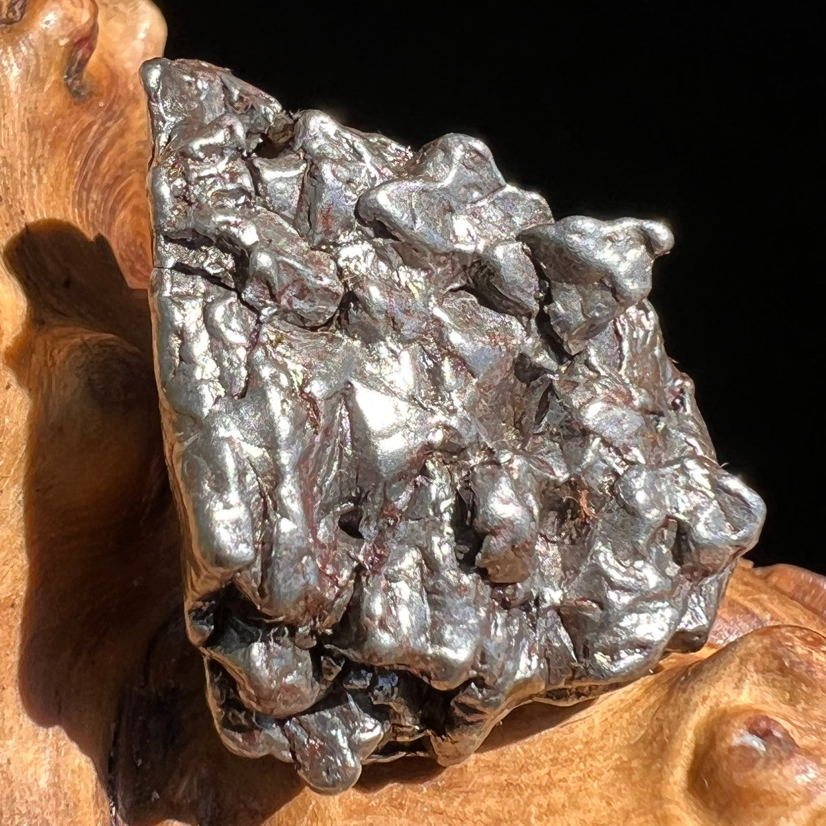 Campo Del Cielo Meteorite 24.2 grams #52-Moldavite Life