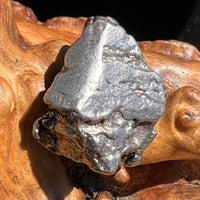 Campo Del Cielo Meteorite 24.2 grams #85-Moldavite Life