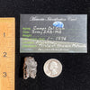 Campo Del Cielo Meteorite 24.2 grams #91-Moldavite Life