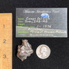 Campo Del Cielo Meteorite 26 grams #65-Moldavite Life