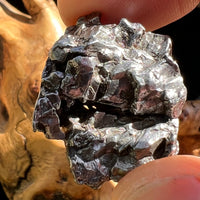 Campo Del Cielo Meteorite 26.3 grams #87-Moldavite Life