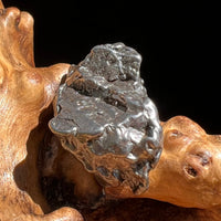 Campo Del Cielo Meteorite 26.6 grams #89-Moldavite Life