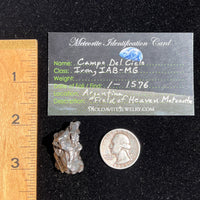 Campo Del Cielo Meteorite 26.6 grams #89-Moldavite Life