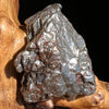 Campo Del Cielo Meteorite 26.9 grams #43-Moldavite Life