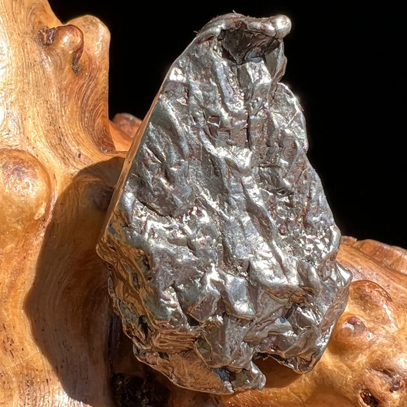 Campo Del Cielo Meteorite 26.9 grams #86-Moldavite Life