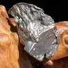 Campo Del Cielo Meteorite 26.9 grams #86-Moldavite Life