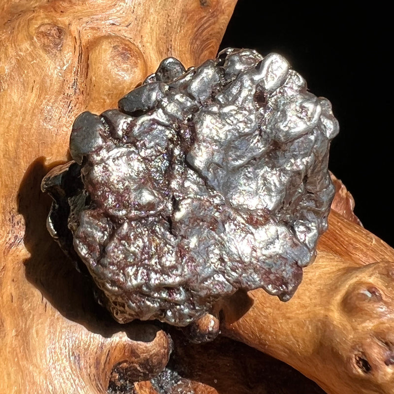 Campo Del Cielo Meteorite 27 grams #48-Moldavite Life