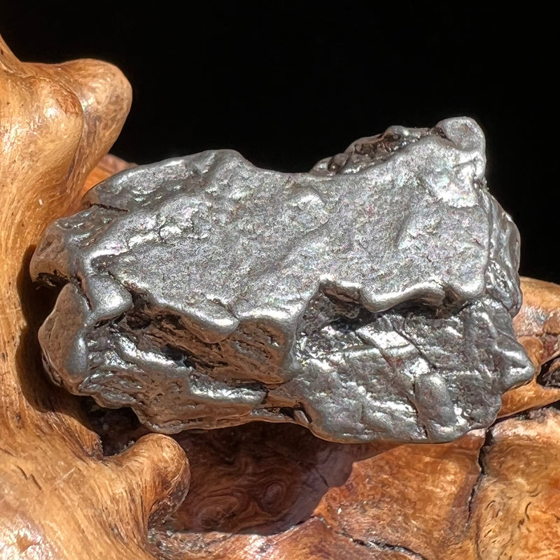 Campo Del Cielo Meteorite 27.2 grams #44-Moldavite Life