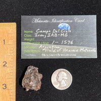 Campo Del Cielo Meteorite 27.2 grams #55-Moldavite Life