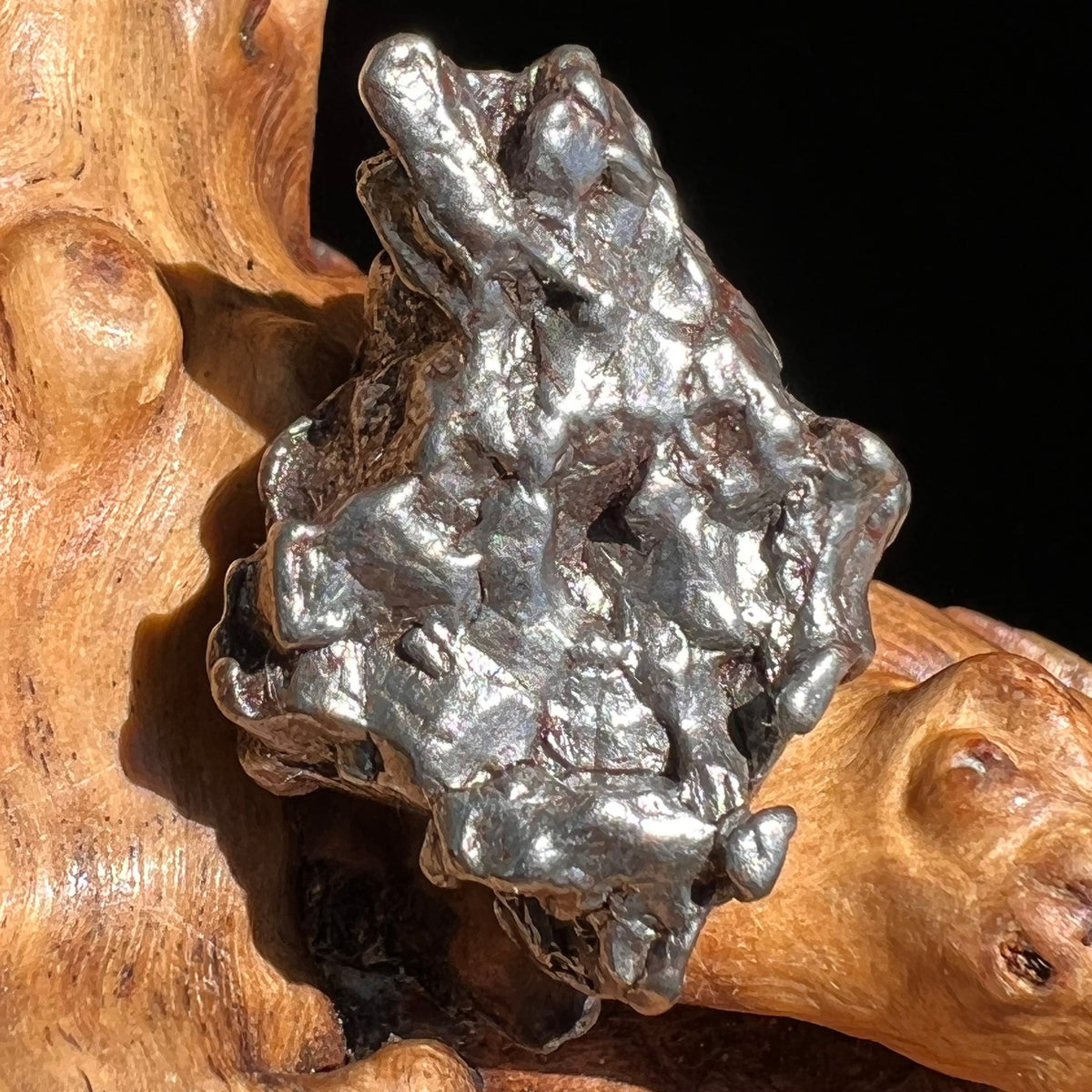 Campo Del Cielo Meteorite 27.2 grams #66-Moldavite Life