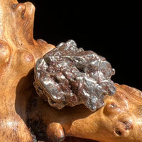 Campo Del Cielo Meteorite 27.3 grams #82-Moldavite Life