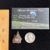 Campo Del Cielo Meteorite 27.3 grams #82-Moldavite Life