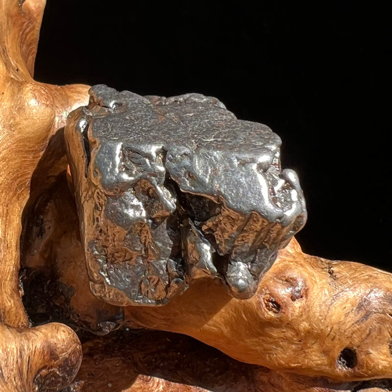 Campo Del Cielo Meteorite 28.8 grams #41-Moldavite Life
